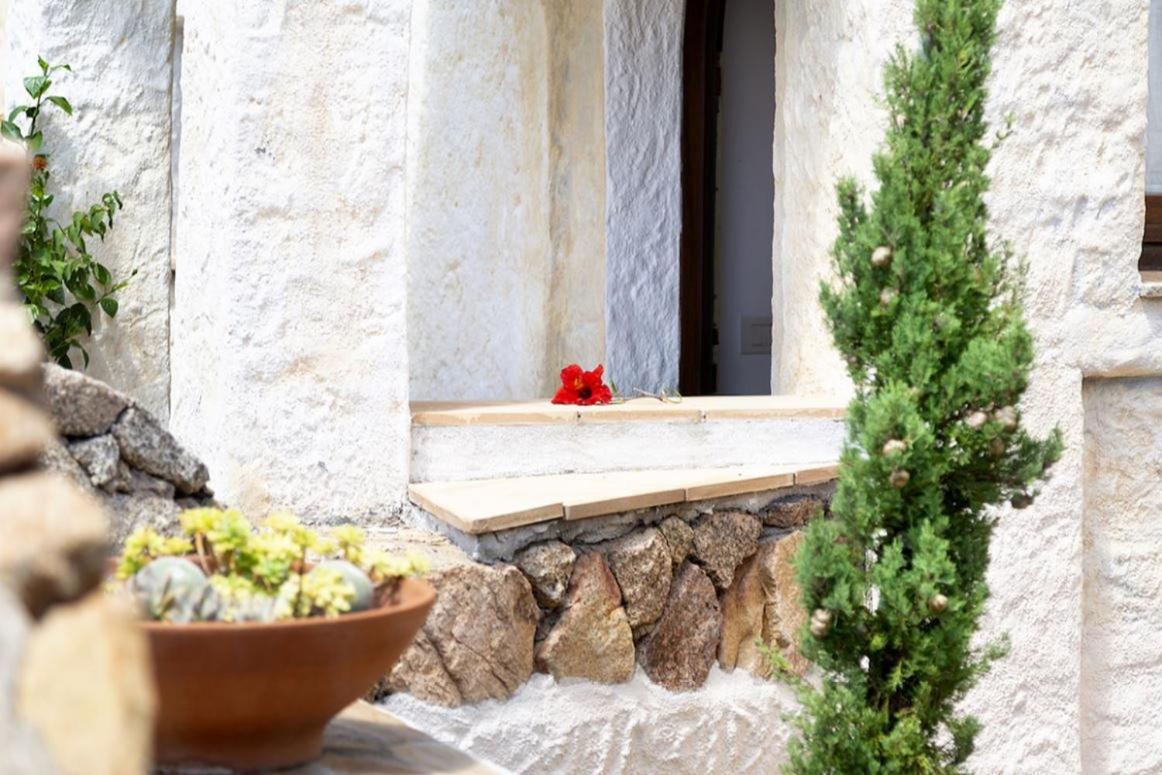 Villa Punta Saline Cannigione Dış mekan fotoğraf